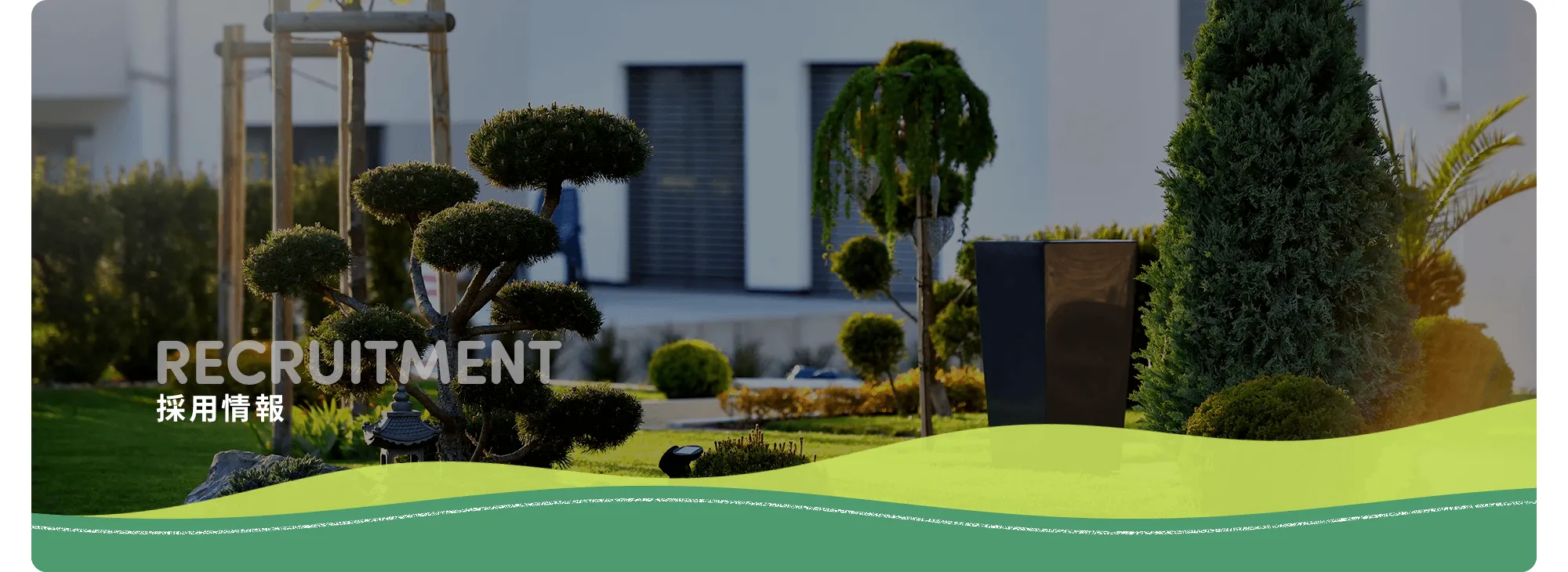 採用情報